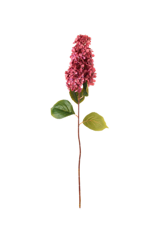 ORTENSIA A GRAPPOLO - NUVOLE DI STOFFA