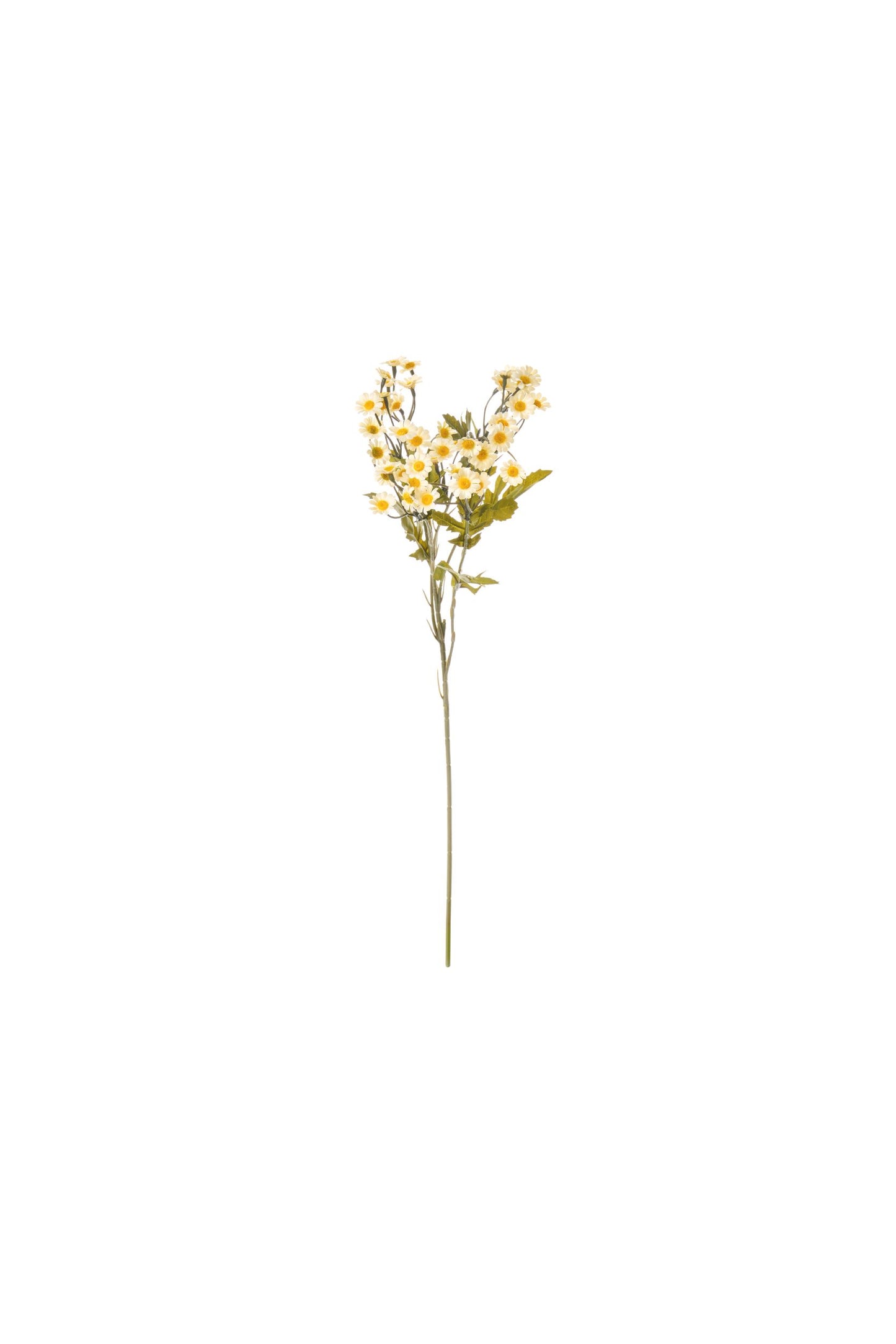 MARGHERITINE - NUVOLE DI STOFFA