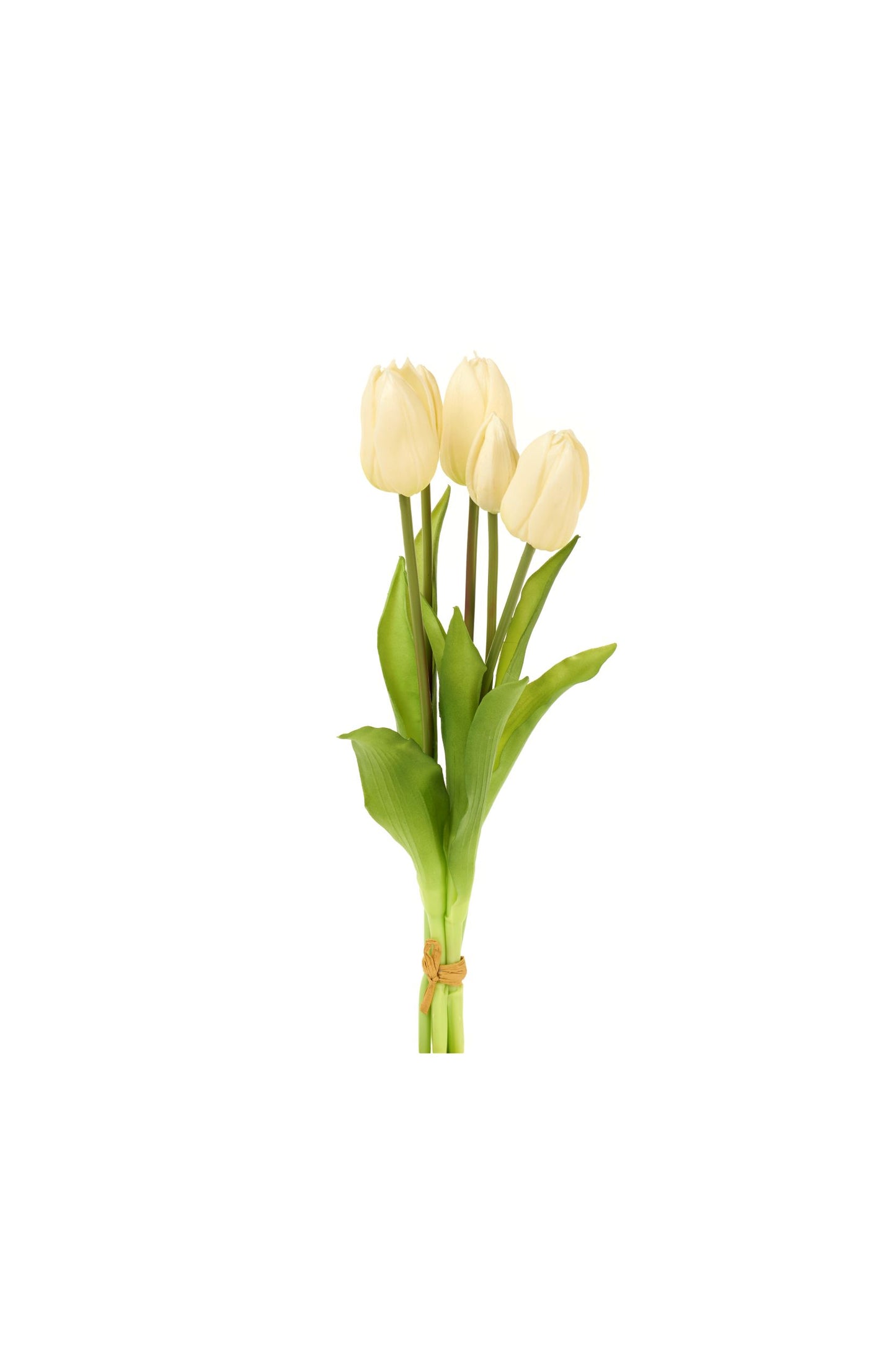 TULIPANI - NUVOLE DI STOFFA