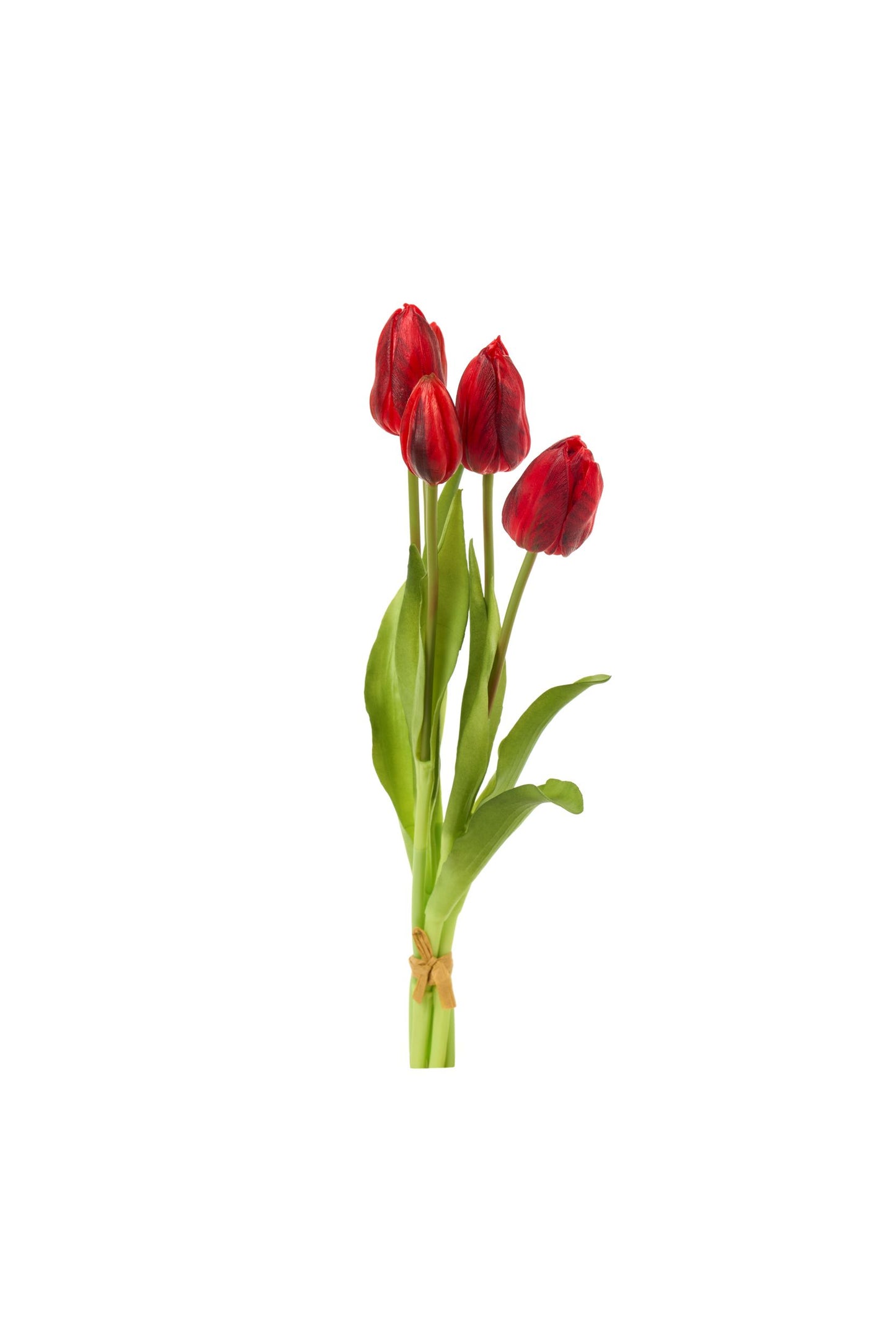 TULIPANI - NUVOLE DI STOFFA