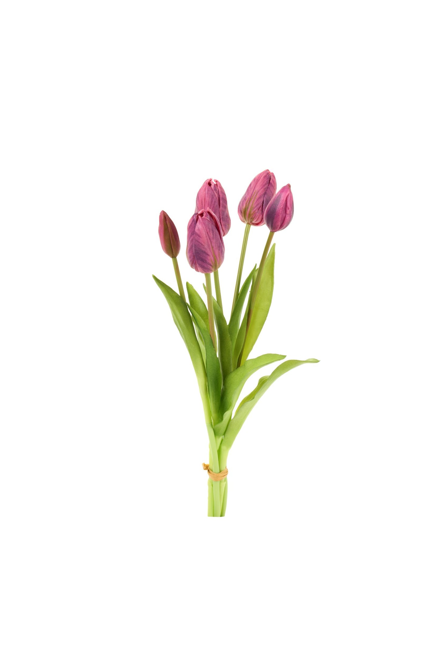 TULIPANI - NUVOLE DI STOFFA